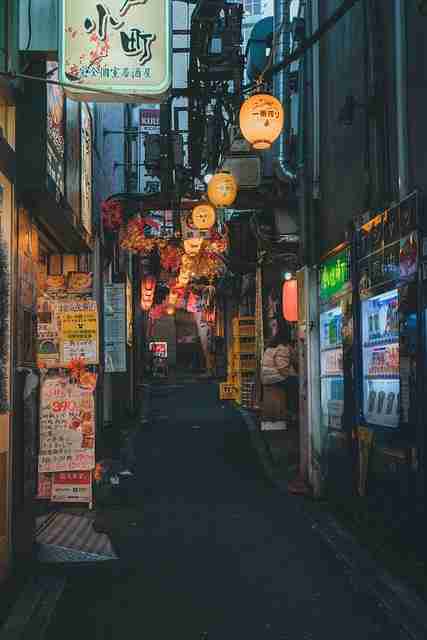 跨界·未来走向|蘑菇视频ios|加长版|视角升级,蘑菇视讯