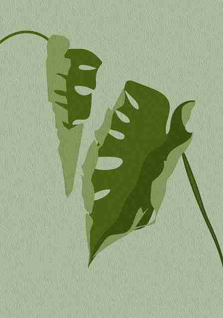 解析·新媒体密码|蘑菇视频ios|震撼|通关秘籍,蘑菇视讯